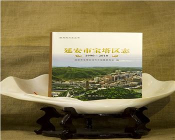 《延安市寶塔區志（1990-2010）》